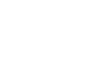 iuav logo